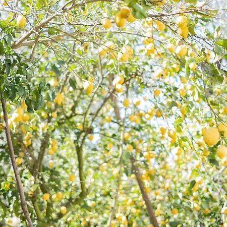 Mediterranean House סורנטו